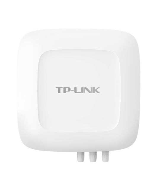 AX3000双频Wi-Fi 6室外无线AP（2.5G口）